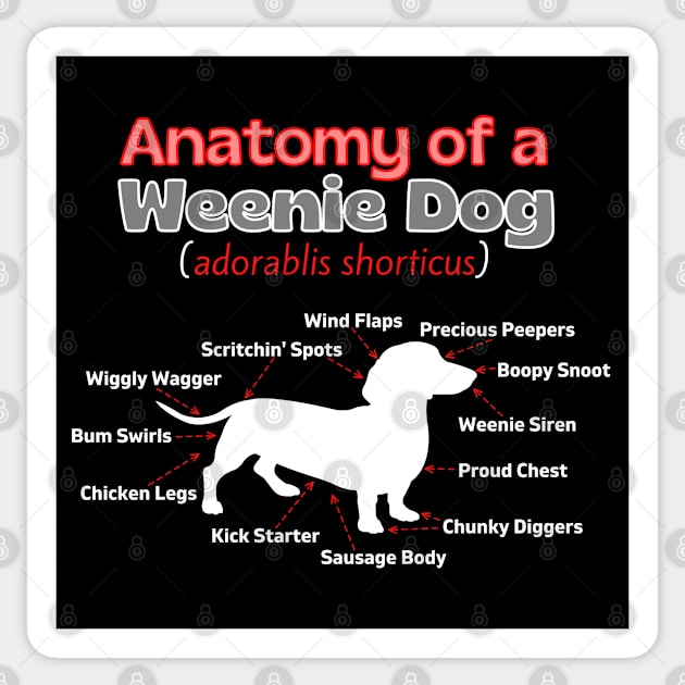 Anatomy of a Weenie Dog Sticker by Weenie Riot